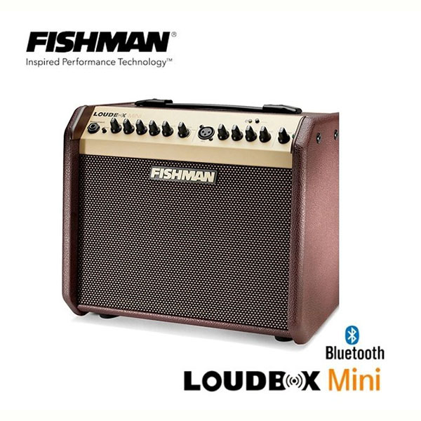 Fishman Loudbox Mini BT / 블루투스 어쿠스틱앰프