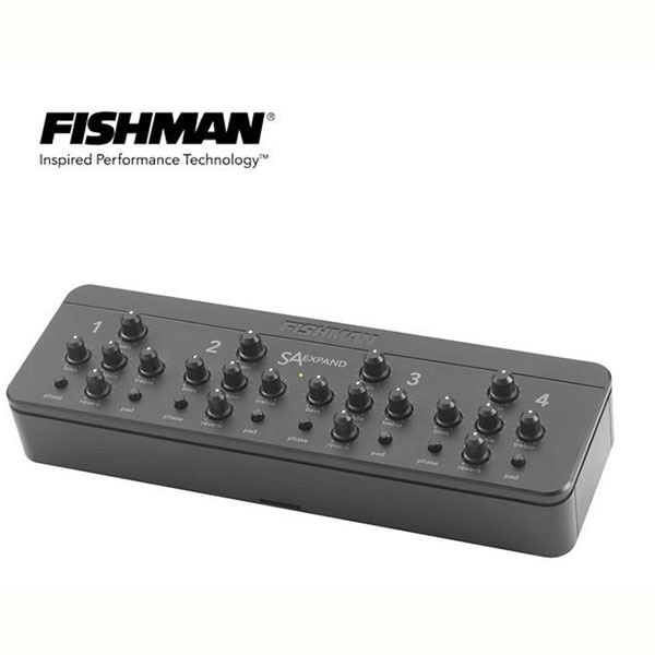 Fishman SA-Expand + Mount Kit